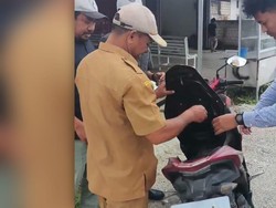 Tampang Kabid Kesbangpol Buteng Simpan Uang Korupsi Rp 59 Juta di Jok Motor