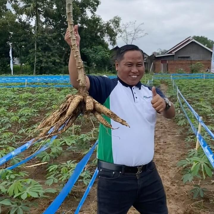 <p>Dalam salah satu video yang ia bagikan di Instagram Reels-nya, terlihat komedian senior ini tengah membopong singkong hasil panennya sendiri. "Bangga jadi ANAK SINGKONG," tulis Narji di unggahannya. (Foto: Instagram @narji77)</p>