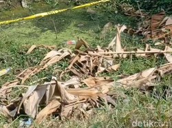 Bayi Dibuang di Pasuruan Dikembalikan ke Ibunya yang Masih 16 Tahun