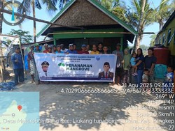 Pemprov Sulsel Tanam 142 Ribu Mangrove di 4 Kabupaten demi Rehabilitasi Pesisir