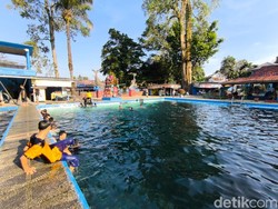 Mitos Ikan Dewa, Ikan Keramat di Cibulan, Bawa Berkah buat Warga