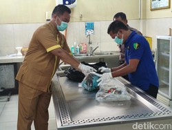 310 Potongan Tubuh Tiara yang Dimutilasi Alvi Ditemukan