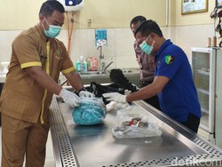 Video: 310 Potongan Tubuh Wanita yang Dimutilasi Alvin Ditemukan