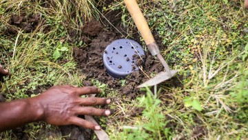 Cara Membuat Lubang Resapan Biopori di Rumah dan Tips Perawatannya