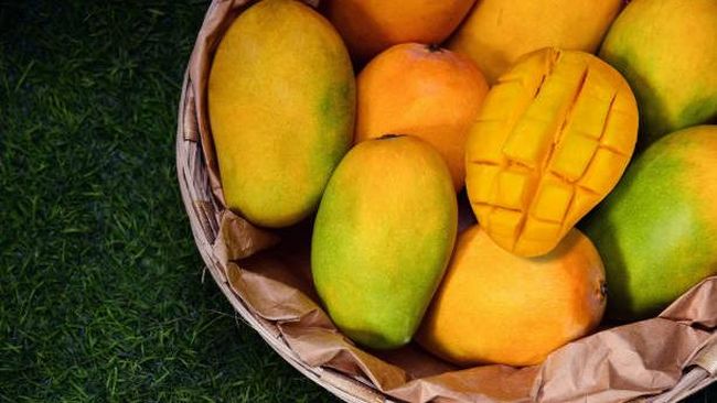 Penting untuk tahu cara memilih buah mangga yang benar agar tidak kecewa dengan hasil belanja di toko buah.