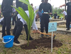 Kemenimipas Tanam Serentak 360 Ribu Bibit Pohon Kelapa di Seluruh Indonesia