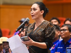 Rieke Sebut 39 Pejabat Kemenkeu Rangkap Jabatan Jadi Komisaris BUMN