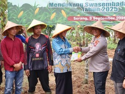 Dukung Swasembada Pangan, Polda Banten Akan Tanam Jagung 724 Hektare