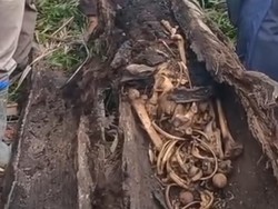 Heboh Kerangka Manusia Ditemukan Dalam Pohon di Sergai, Polisi Selidiki