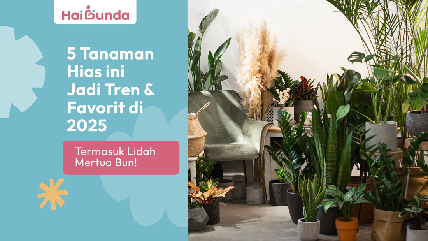 Detik Network
