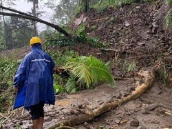 Longsor Terjang Badung, Tabanan, dan Karangasem Akibat Hujan Dua Hari