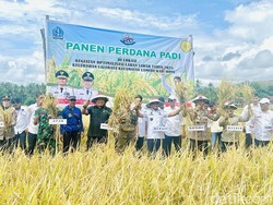Bupati Bone Andi Asman Dorong Petani Panen 3 Kali Setahun-Tingkatkan Produksi