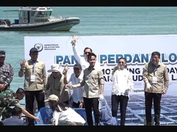 Gibran Minta Daerah Lain Contoh Batam Budidaya Lobster