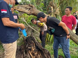 Polisi Periksa 8 Saksi Kasus Kerangka Manusia dalam Pohon di Sergai