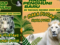 Harimau Bengala dan Singa Afrika Jadi Koleksi Baru Taman Rimba Jambi