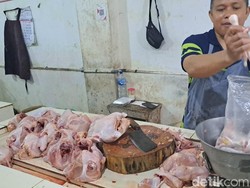 Pedagang Bingung Harga Daging Ayam di Purwokerto Tembus Rp 42 Ribu