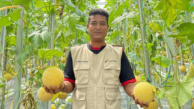 Masyarakat Ulubelu Jadi Motor Ekosistem Hidrogen Hijau Pertamina Pertamina Geothermal Energy luncurkan Pilot Plant Green Hydrogen di Lampung, mendukung transisi energi bersih dan pemberdayaan masyarakat lokal.