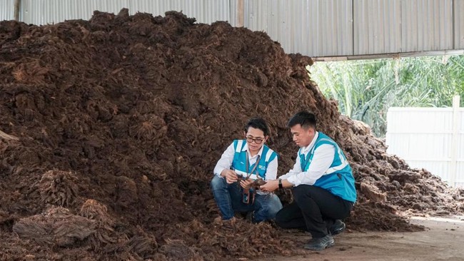 PT PLN EPI mendorong transisi energi bersih lewat biomassa sebagai bahan bakar alternatif dan menargetkan 3 juta ton biomassa pada 2025 untuk kurangi emisi CO2.