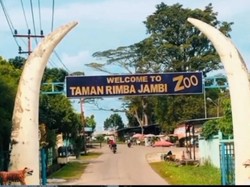 Taman Rimba Zoo Jambi, Apa Saja Koleksinya?