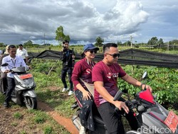 Wamendiktisaintek Tinjau Lokasi Pembangunan SMA Garuda di Mempawah