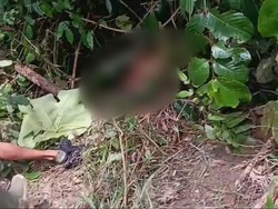 Warga Musi Rawas Temukan Mayat Pria di Kebun Kopi
