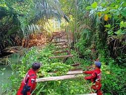 Gerak Cepat Gubernur Lampung Perbaiki Jembatan Gantung yang Viral