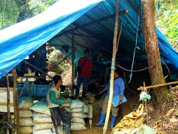 Mengintip Deretan Tenda Biru Lokasi Tambang Emas Ilegal di Sukabumi
