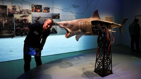 FOTO: Merayakan 50 Tahun Jaws, Karya Legendaris Spielberg