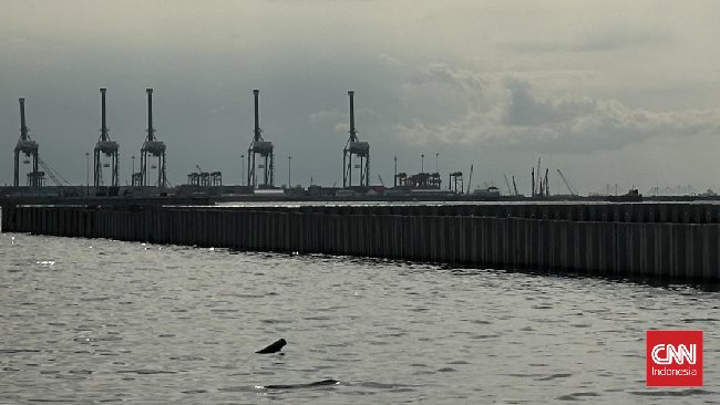 PT KCN Widodo Setiadi mengungkap proyek tanggul beton di Laut Cilincing, Jakarta Utara, sejatinya adalah breakwater alias pemecah gelombang.