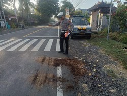 2 Motor Tabrakan di Jalan Singaraja-Gilimanuk, 1 Tewas-1 Luka Parah