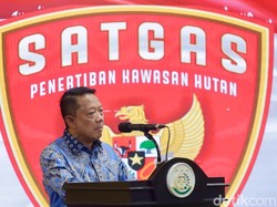 Perusahaan Ubah Hutan Jadi Tambang-Lahan Sawit? Siap-siap Didenda Satgas PKH