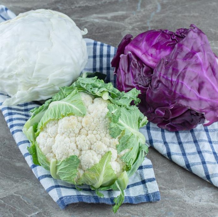 Kubis kaya serat dan rendah kalori, sehingga membantu menahan rasa lapar lebih lama tanpa menambah beban energi berlebih. Kandungan vitamin dan antioksidannya juga mendukung metabolisme serta menjaga kesehatan pencernaan selama menjalani diet./ Foto: Freepik.com/azerbaijan_stockers