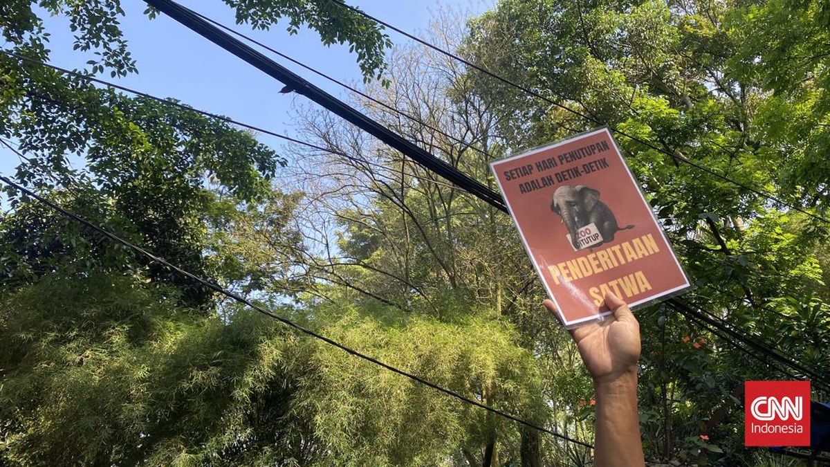 Puluhan Pekerja Bandung Zoo Demo Tuntut Kebun Binatang Dibuka