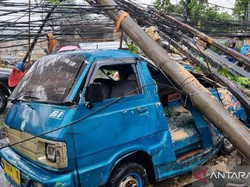 Hujan Angin, Pohon di Jaksel Tumbang Timpa Angkot hingga Ringsek