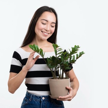 Musim Hujan Datang, 5 Tanaman Pengusir Nyamuk yang Ampuh di Rumah