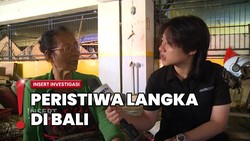img-title Banjir Bali Rendam Pasar Badung, Stok Dagangan Terpaksa Dibuang