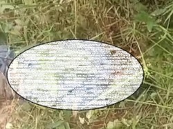 Pria di PALI Dibunuh Mertua-Adik Ipar, Jasad Korban Ditemukan di Semak-semak