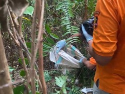 Balita 4 Tahun Tewas Terbungkus Karung di Konawe Selatan Sempat Hilang 2 Hari