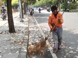 DLH Surabaya Siagakan Pasukan Tambahan Atasi Guguran Tabebuya