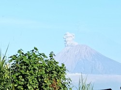 Semeru Erupsi Pagi hingga Siang Letuskan Kolom Abu Setinggi 800 Meter