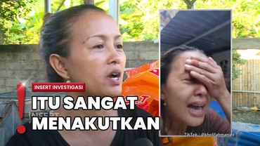 Video Kadek Eta Viral, Ratusan Anjing di Shelter Berhasil Diselamatkan