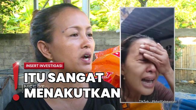 Video Kadek Eta Viral, Ratusan Anjing di Shelter Berhasil Diselamatkan