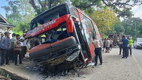 Kecelakaan Maut Bromo Tewaskan 8 Orang, Korban Baru Syukuran Lulus S1