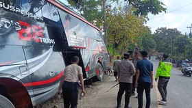 Kecelakaan Maut Bus Nakes Jember di Bromo, Ingat Pentingnya Seat Belt
