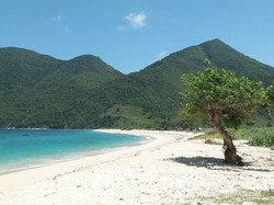 Pesona Pantai Rontu di Bima NTB: Lokasi, Daya Tarik, Tips Berwisata