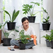 Liburan Tenang, Tanaman Aman! Ini 5 Cara Jitu Merawat Tanaman Hias saat Ditinggal Pergi