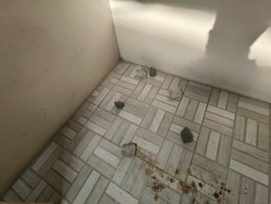 Viral Masjid di Bogor Dilempari Batu, Polisi Bergerak Cari Pelaku