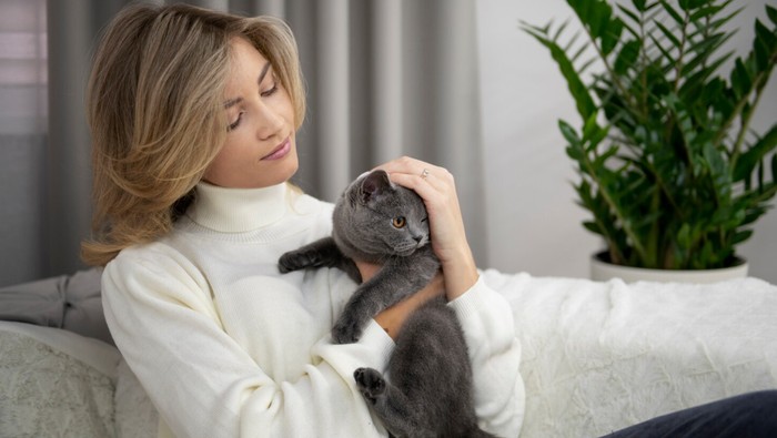 7 Cara Menyelamatkan Hewan Peliharaan Jika Terjadi Banjir