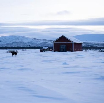 5 Kota Paling Dingin di Dunia, Ada yang Pernah -71,2 Derajat Celcius!