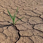 5 Kota Paling Panas di Dunia, Bisa Sampai 40 Derajat Celcius Lebih!